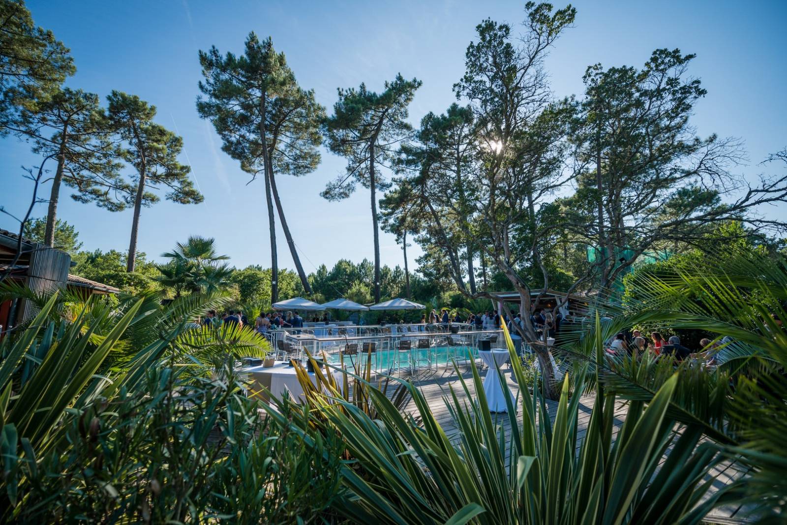 Traiteur Organisateur de réception sur le Bassin d'Arcachon 