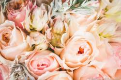 Fleuriste Lège - Cap Ferret Eden Fleurs